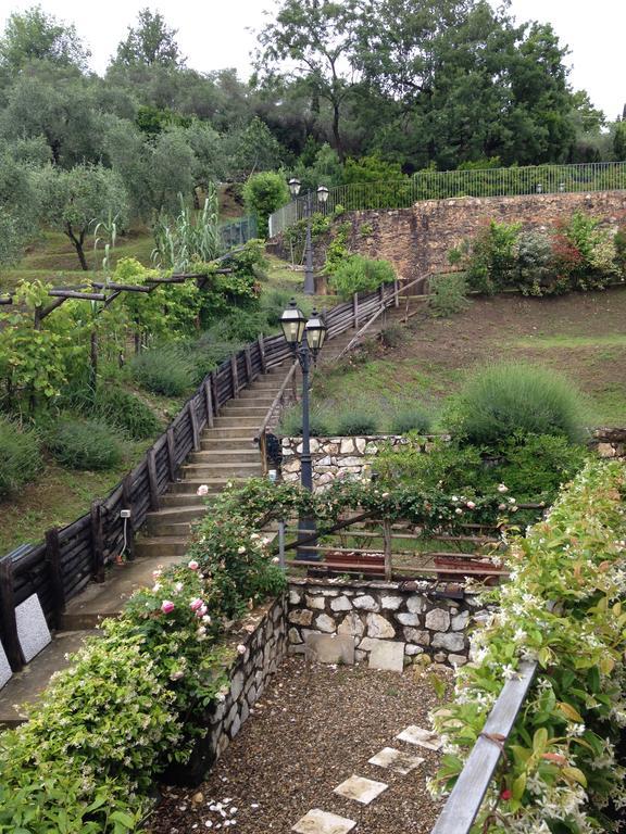 Lady Frantoio Toscano Corsanico-Bargecchia Εξωτερικό φωτογραφία